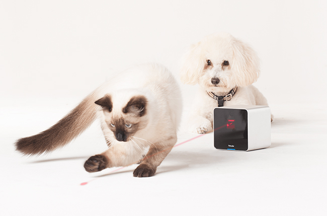 Petcube